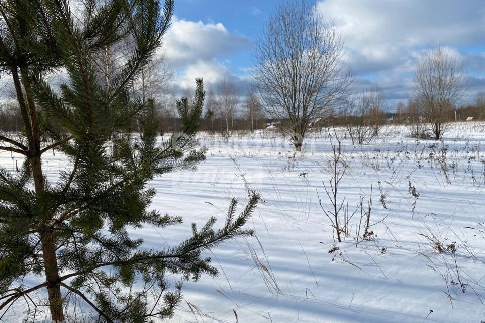 земля городской округ Переславль-Залесский, ДНТ Веськово фото 4