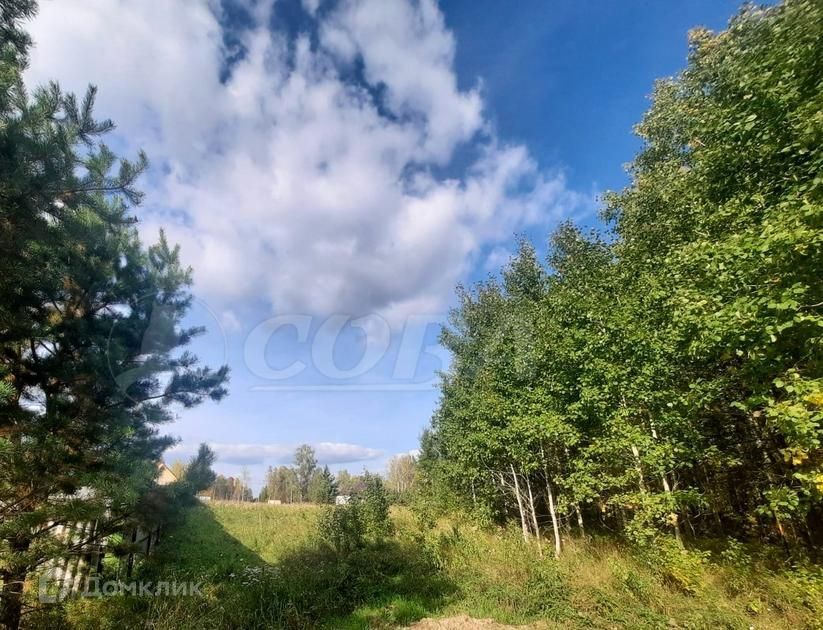 земля р-н Нижнетавдинский село Тюнево фото 5