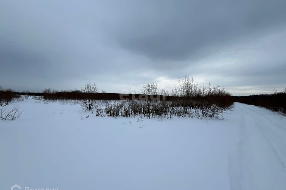 земля г Нижний Тагил городской округ Нижний Тагил, СНТ Металлист фото 5