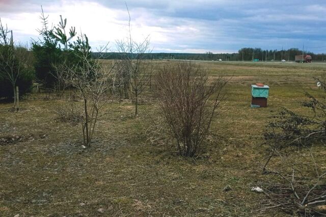 городской округ Калуга, деревня Петрово фото