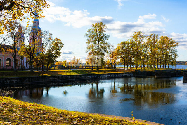 ул Чекалова 47 Шлиссельбургское городское поселение фото