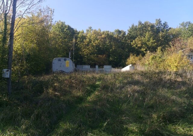 некоммерческое товарищество Уголёк, садовое фото
