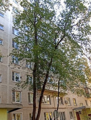 квартира г Москва метро Новогиреево ул Молостовых 13к/2 фото 16