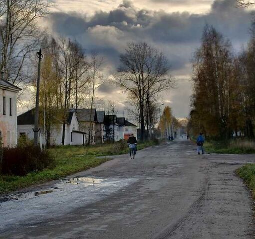 п Тёсово-Нетыльский ул Техническая 4б фото