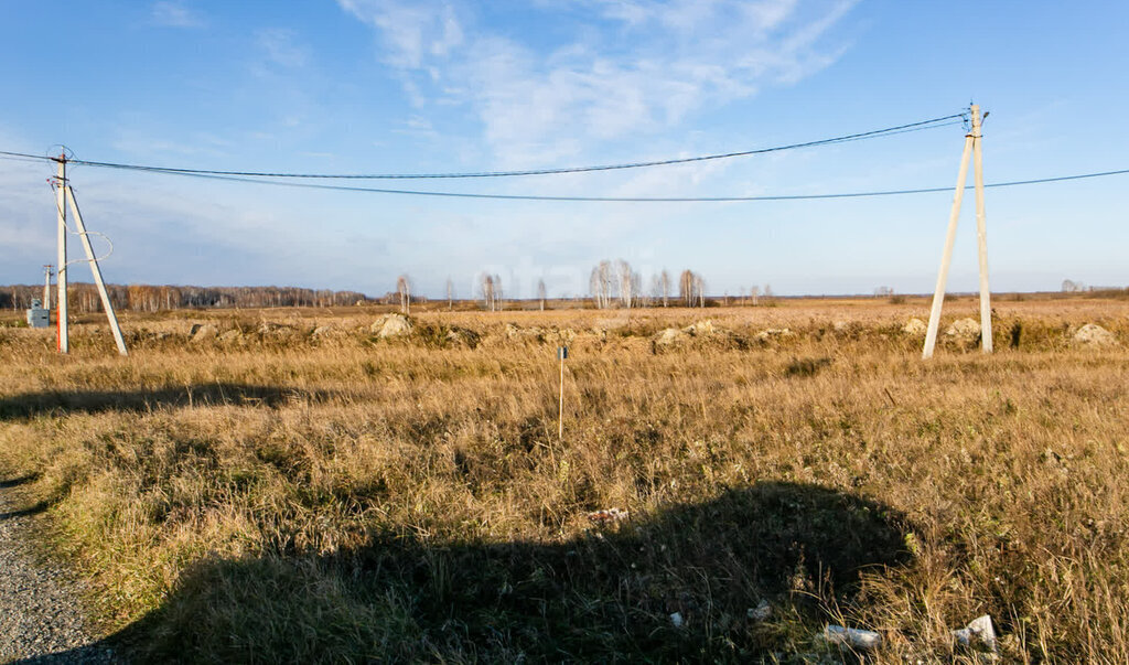 земля г Новосибирск метро Площадь Гарина-Михайловского Колыванское шоссе фото 4