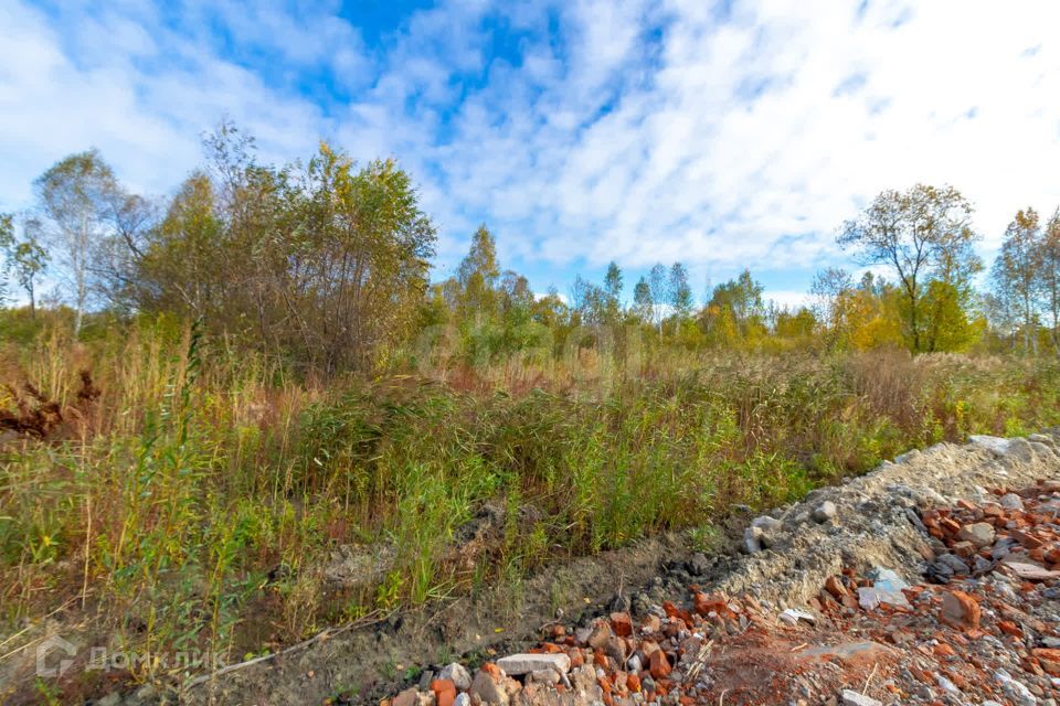 земля г Тюмень городской округ Тюмень, Светлая Звенящие кедры Тюмени с/о фото 1