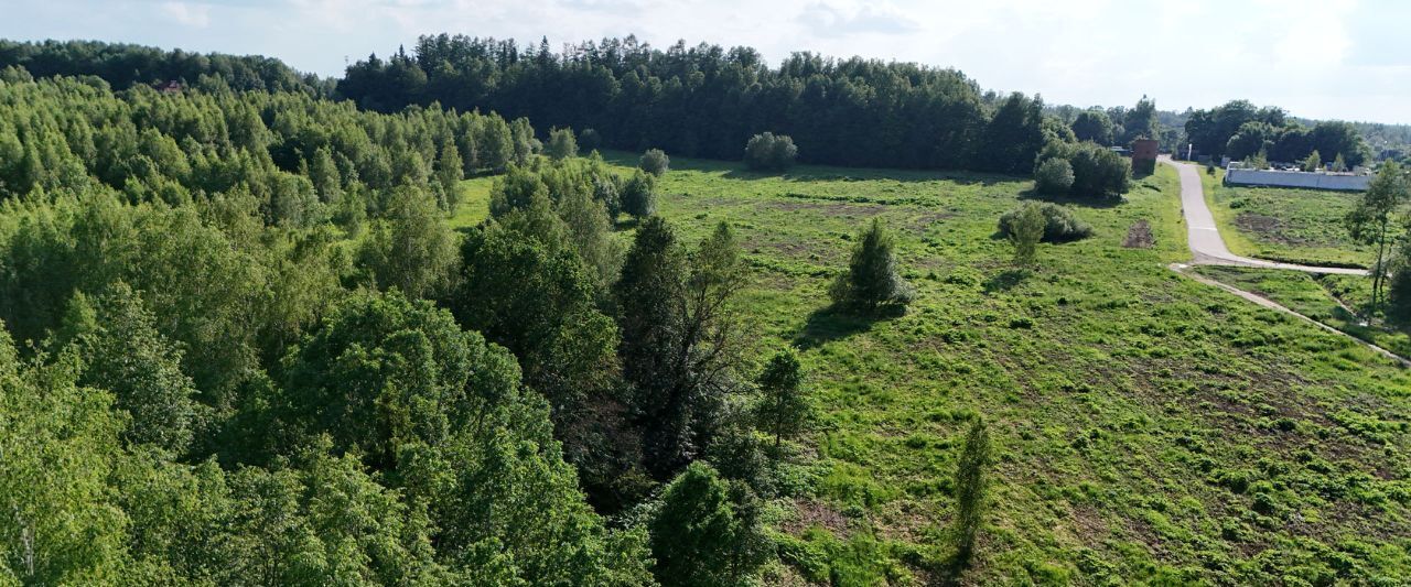 земля городской округ Дмитровский Удинские дачи кп фото 11