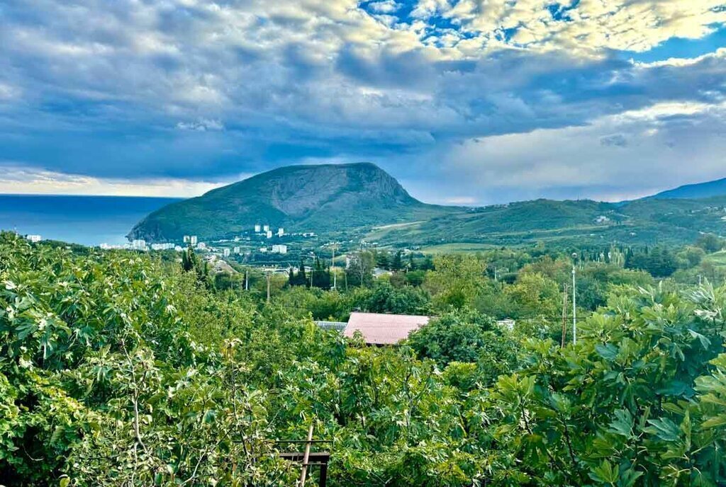 дом г Алушта с Пушкино ул Весенняя фото 12