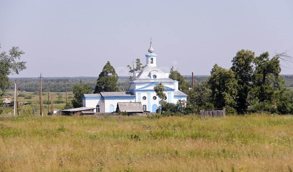 дом р-н Талицкий с Беляковское ул Центральная фото 1