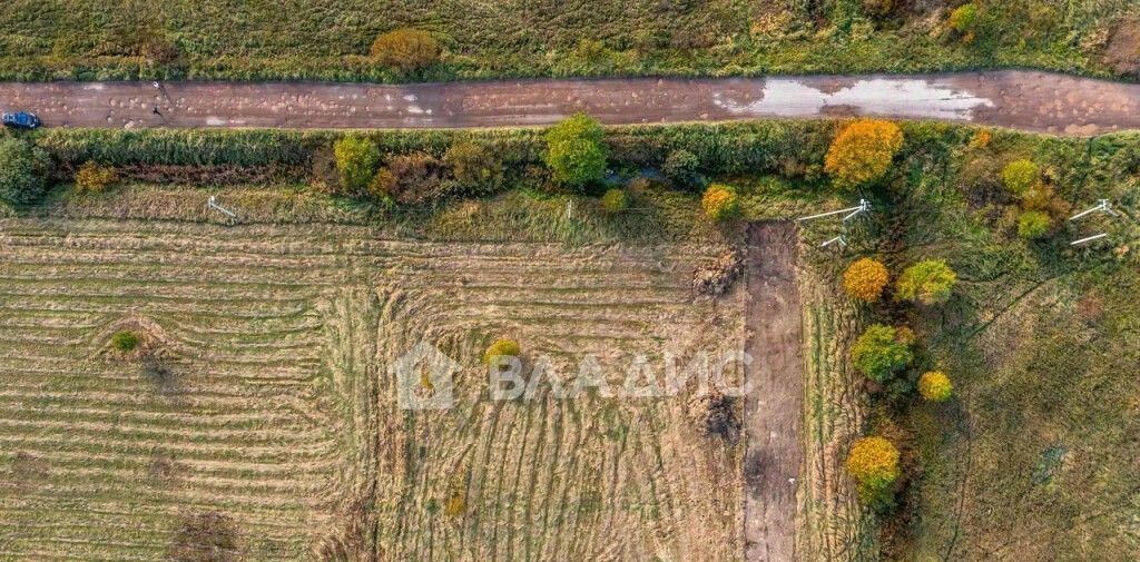 земля р-н Кировский г Отрадное пос. Петрушино, ул. Полевая фото 7