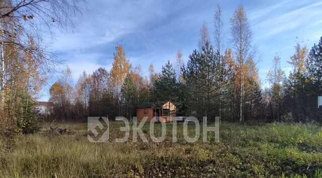 Рахьинское городское поселение, Константиновка кп, 92 фото