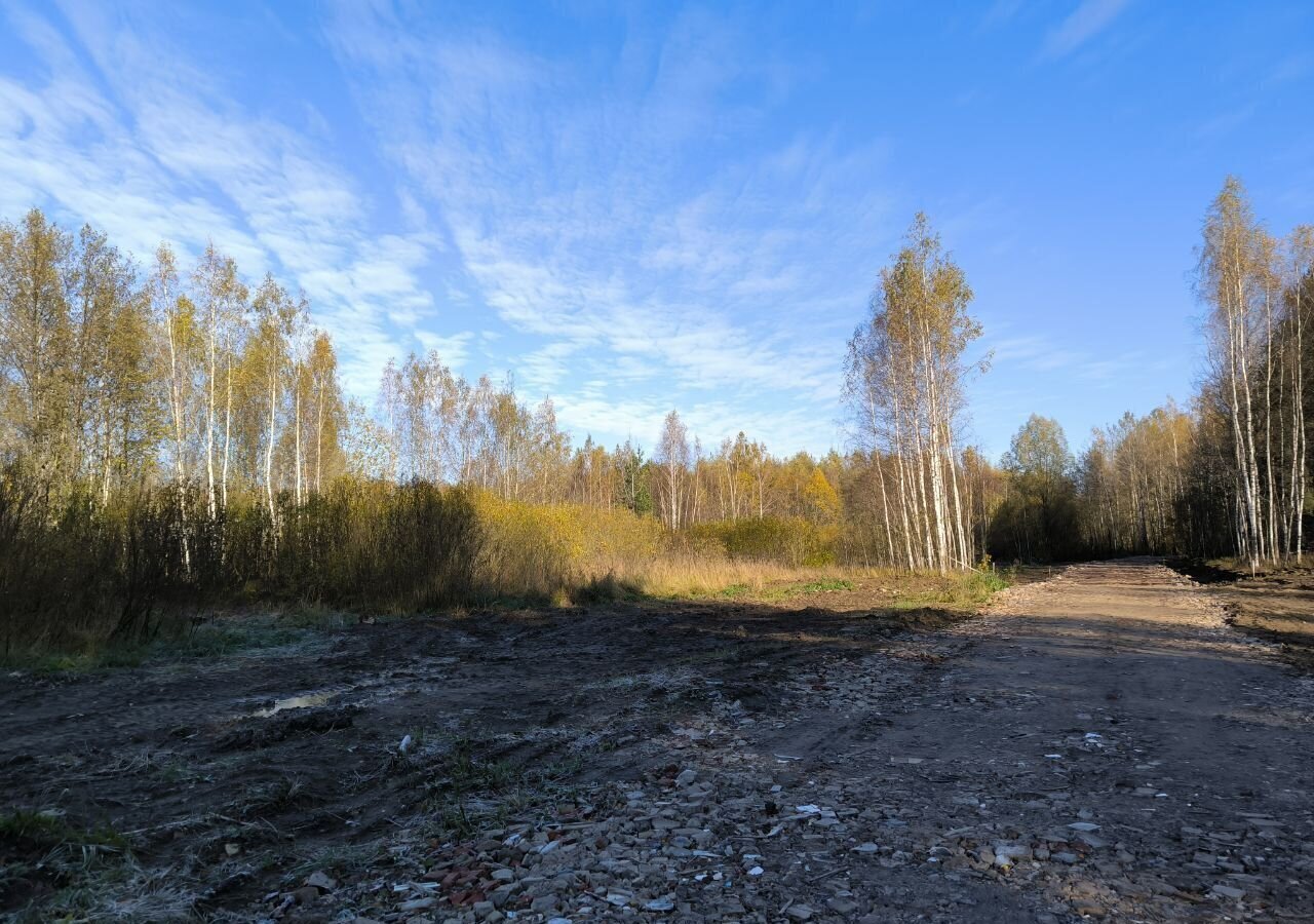 земля городской округ Раменский д Кошерово ул Центральная 59/1 9758 км, Речицы, Егорьевское шоссе фото 4