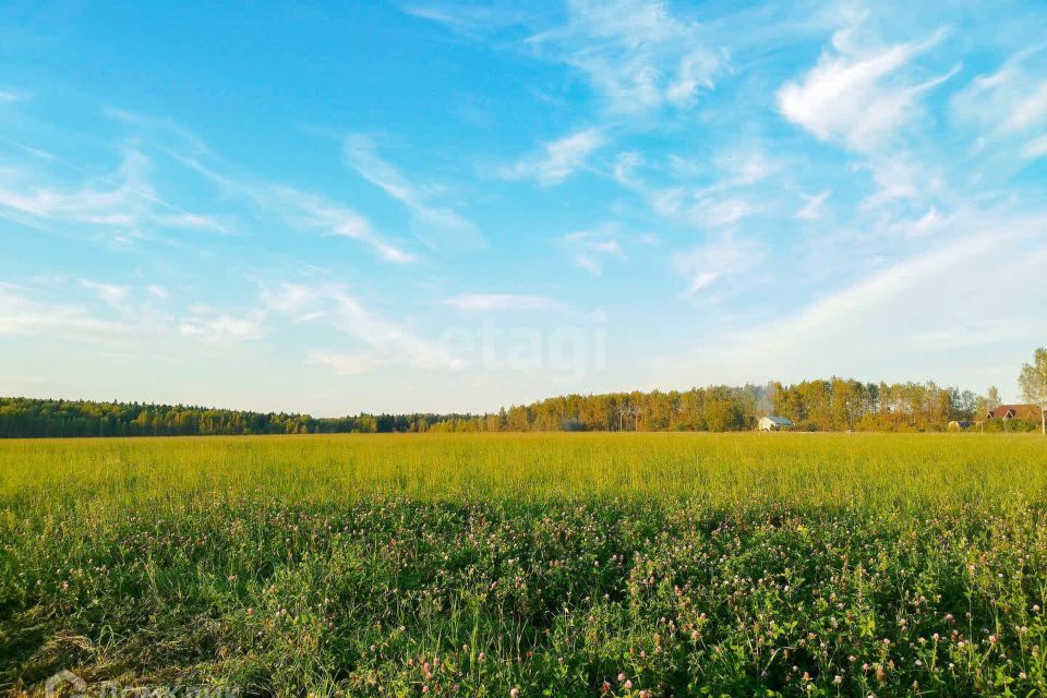 земля р-н Ярославский фото 6