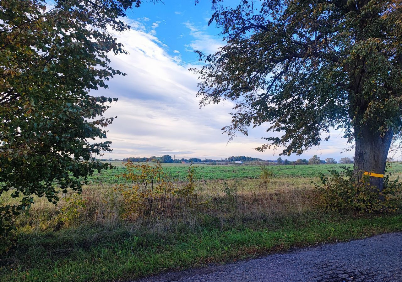 земля р-н Зеленоградский п Каштановка Зеленоградск фото 3