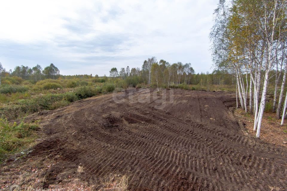 земля г Тюмень тракт Салаирский городской округ Тюмень фото 3