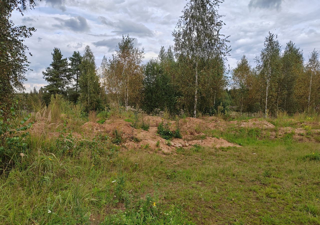 земля городской округ Солнечногорск рп Менделеево 25 км, д. Покров, г. о. Солнечногорск, Рогачёвское шоссе фото 3