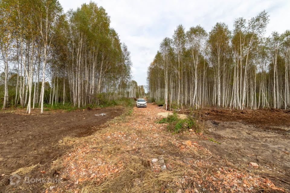 земля г Тюмень тракт Салаирский городской округ Тюмень фото 9