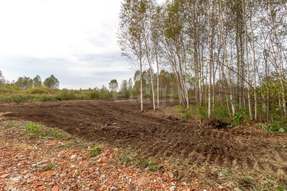 земля г Тюмень тракт Салаирский городской округ Тюмень фото 10