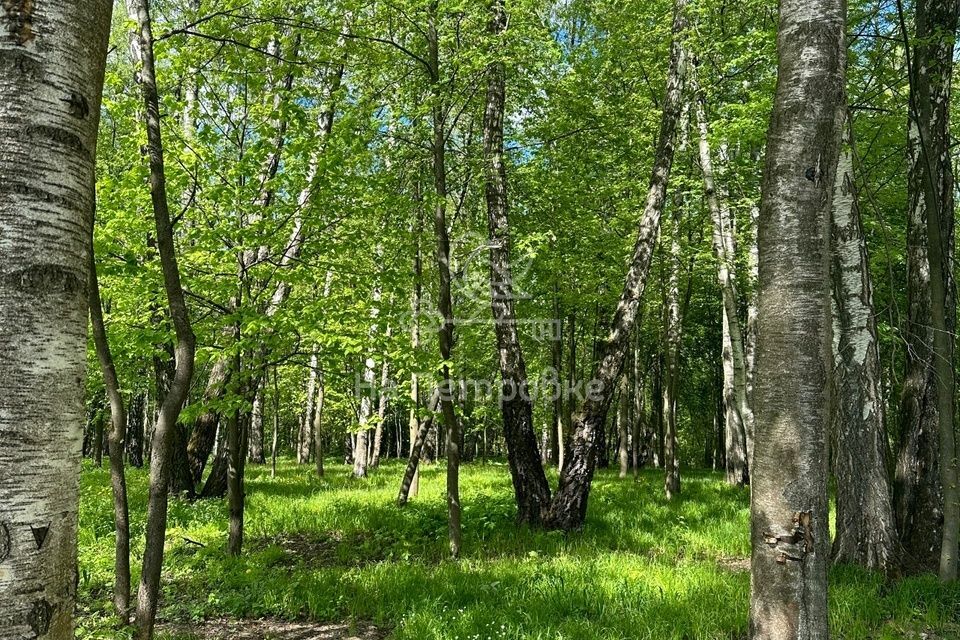 земля городской округ Мытищи Хлебниковский лесопарк фото 8