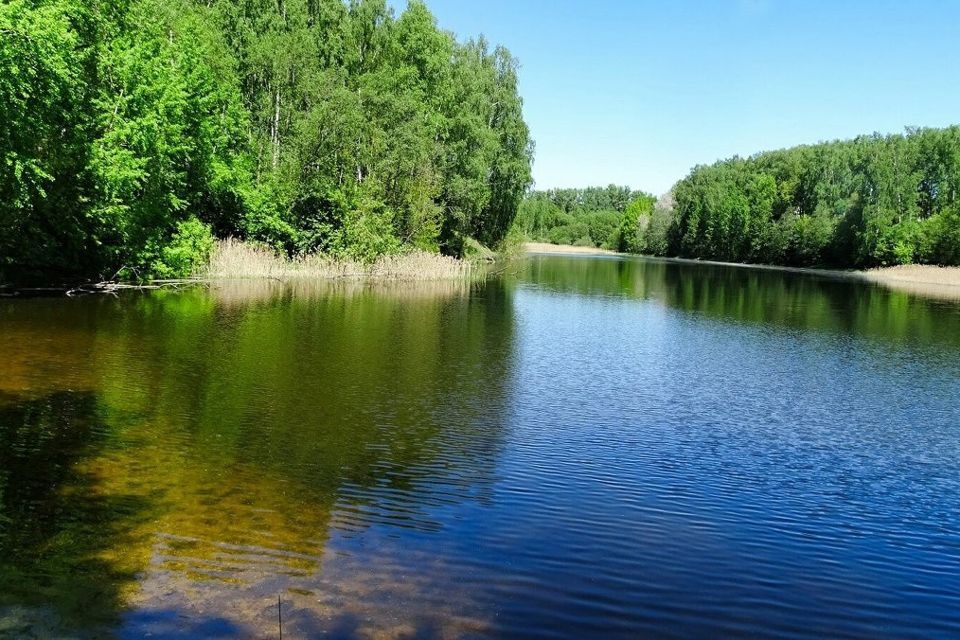 земля р-н Смоленский д Замятлино ул Малиновая фото 1