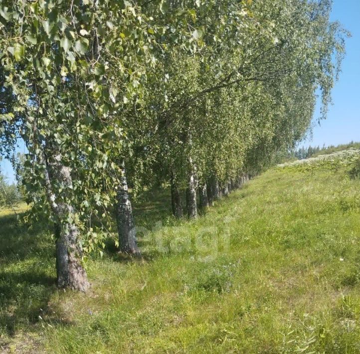 земля р-н Гаврилов-Ямский с Великое пл. Торговая фото 4