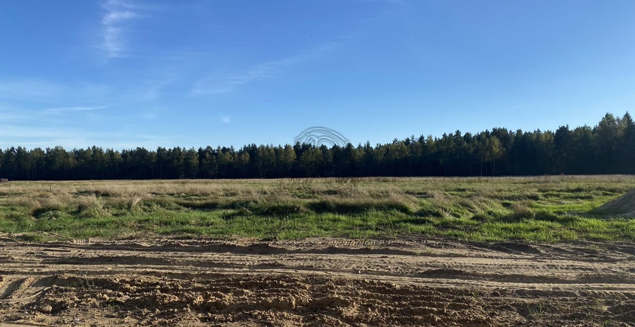 земля городской округ Богородский г Ногинск 9764 км, Первомайская ул., 24, д. Починки, Щёлковское шоссе фото 9