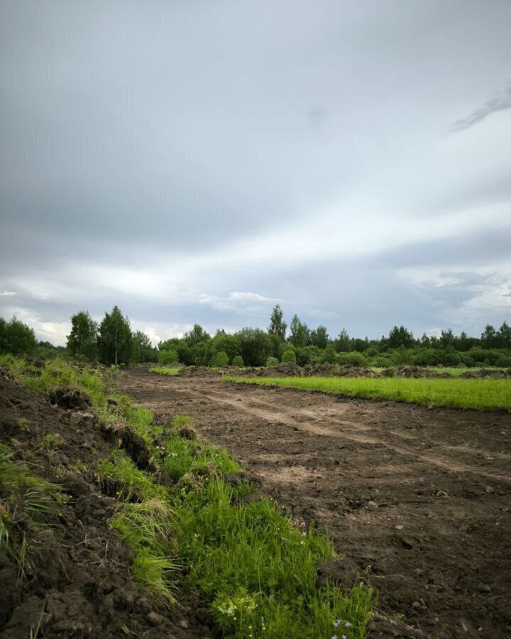 земля городской округ Раменский п Электроизолятор 42 км, ДНТ Медкомелино-1, Егорьевское шоссе фото 2