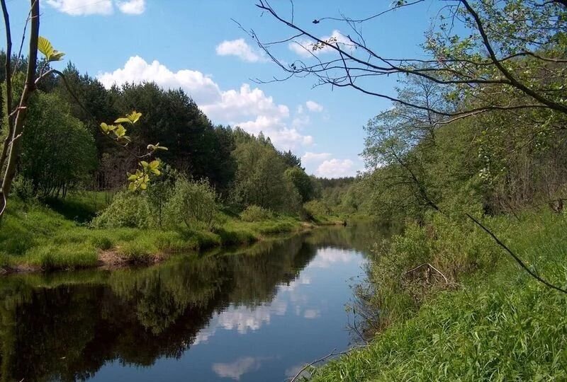 дом р-н Калининский д Савватьево ул Савватьевский берег 32 Эммаусс фото 27