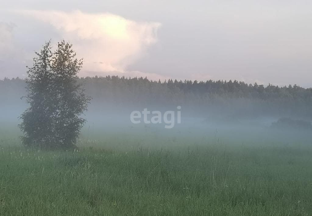 земля г Полевской коттеджный пос. Александровские дачи, Екатеринбург фото 2