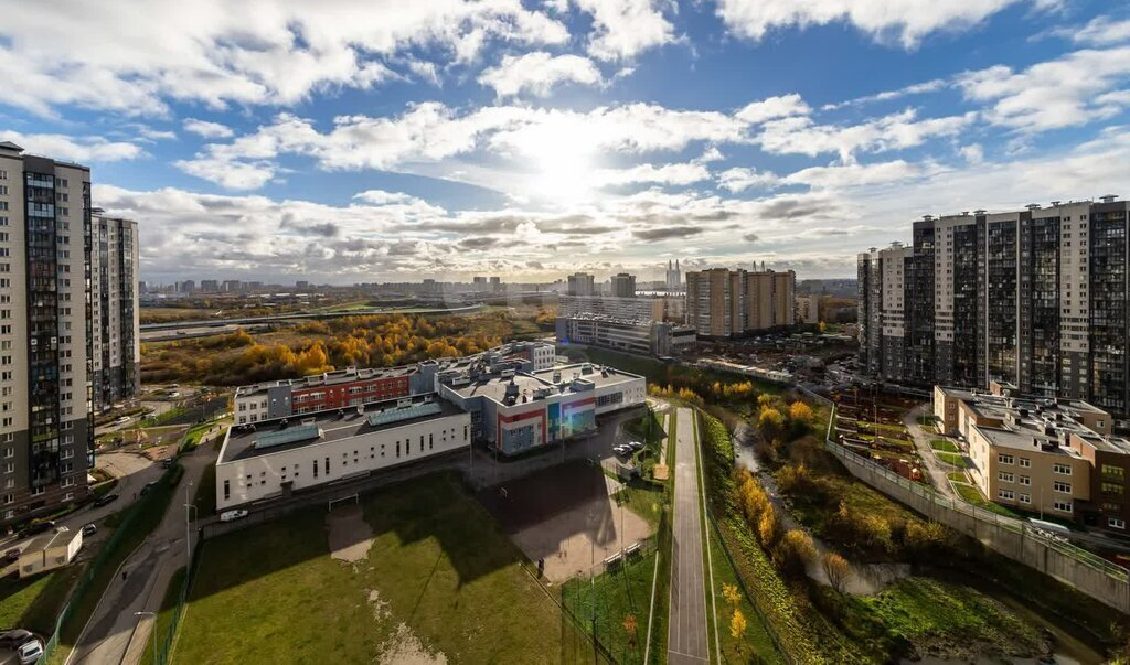 квартира г Санкт-Петербург метро Ломоносовская ул Русановская 15к/1 Ленинградская область фото 13