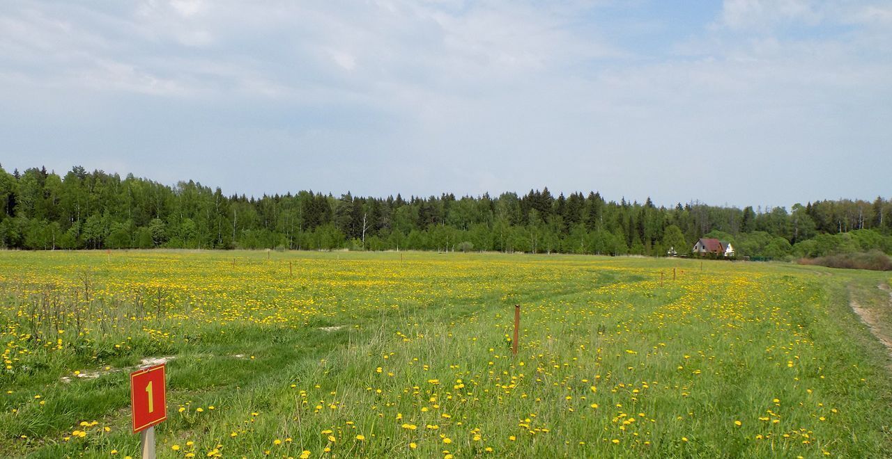 земля городской округ Серпухов 65 км, Симферопольское шоссе фото 1