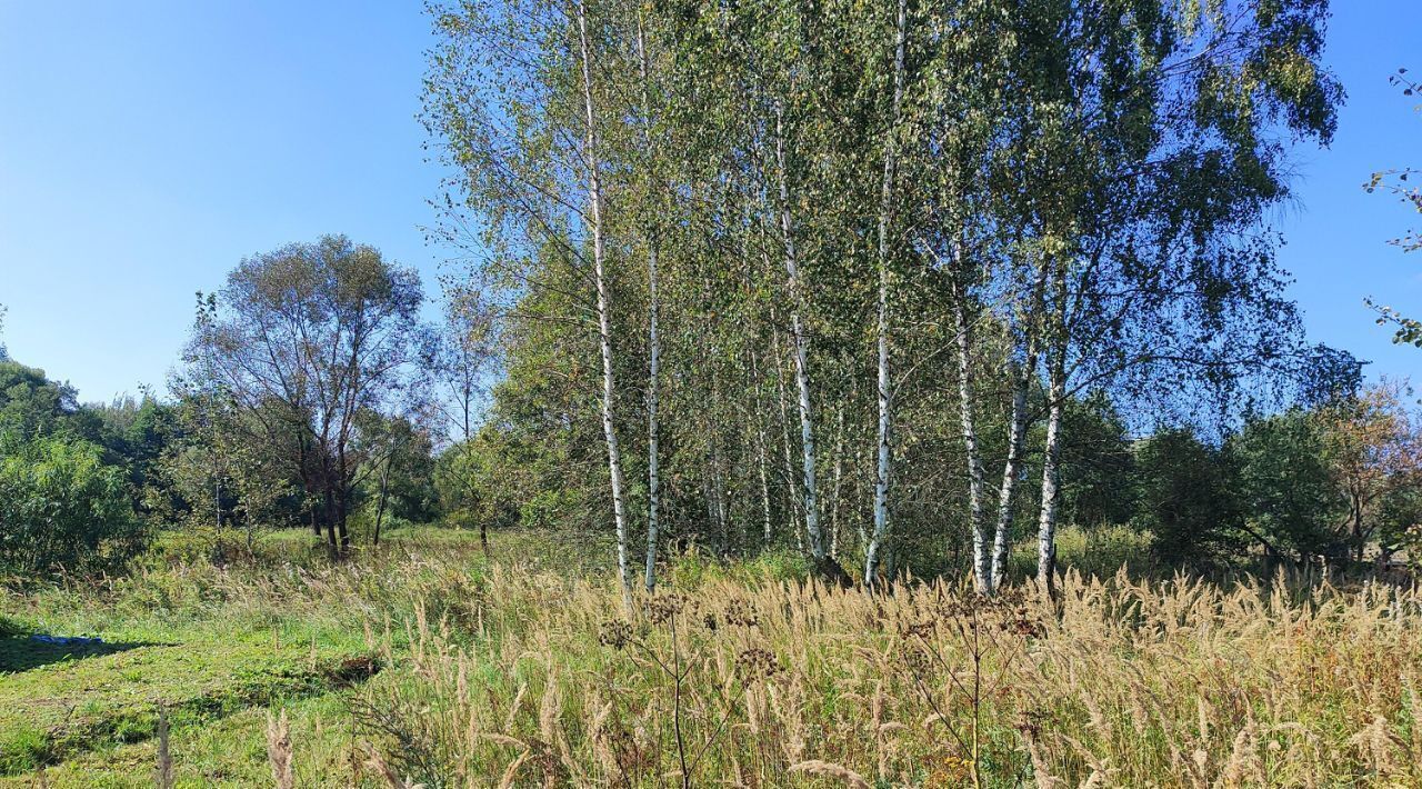 офис городской округ Раменский д Дементьево фото 3