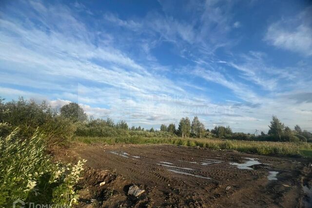 земля городской округ Тюмень, Центральный фото