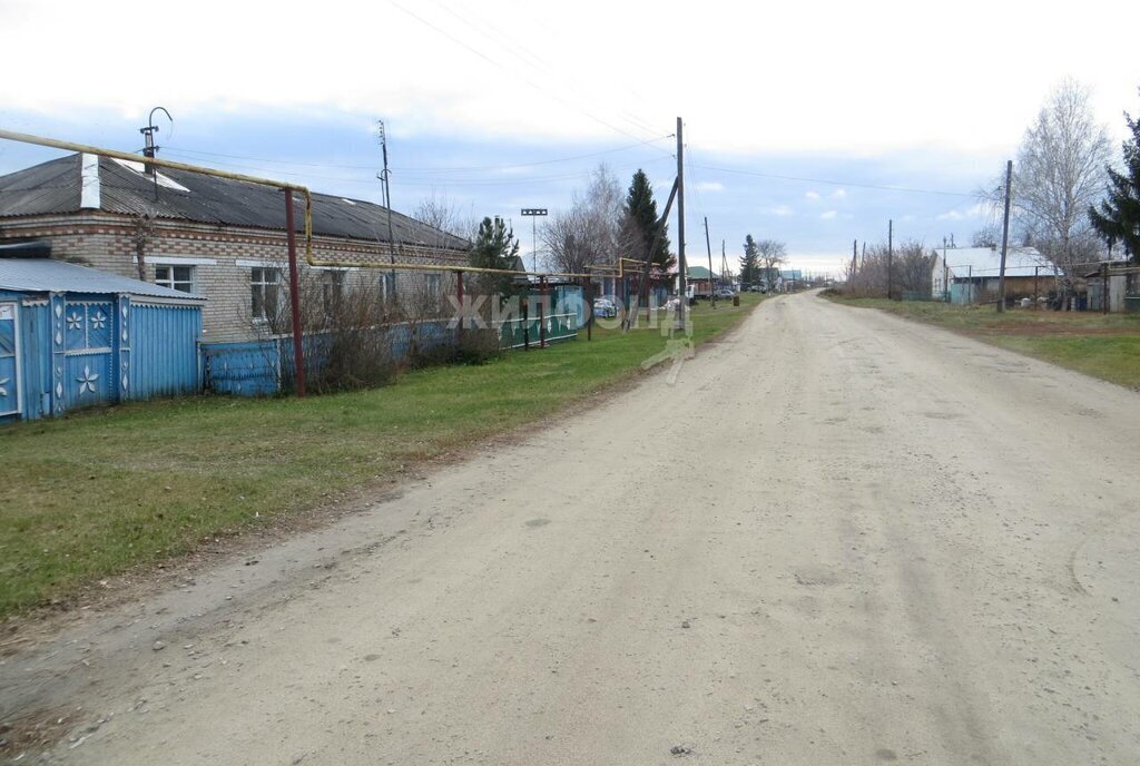 дом р-н Колыванский с Соколово ул Советская фото 18