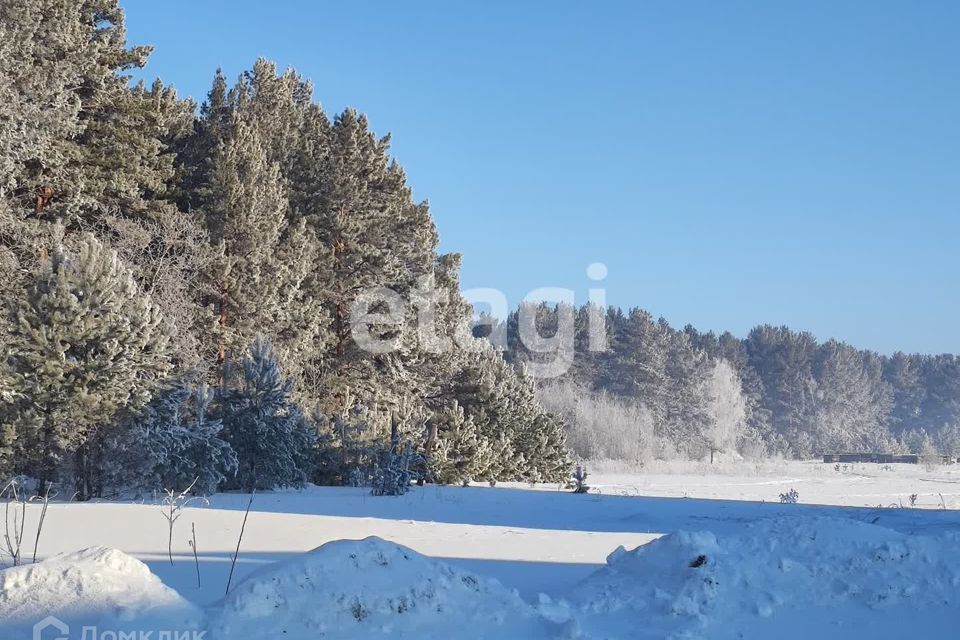 земля р-н Березовский фото 3