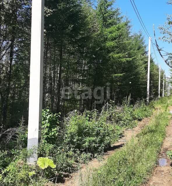 земля г Южно-Сахалинск городской округ Южно-Сахалинск, СНТ Здоровье фото 3