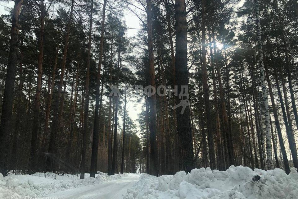 дом р-н Новосибирский садовое некоммерческое товарищество Лесовод, Солнечная улица фото 7