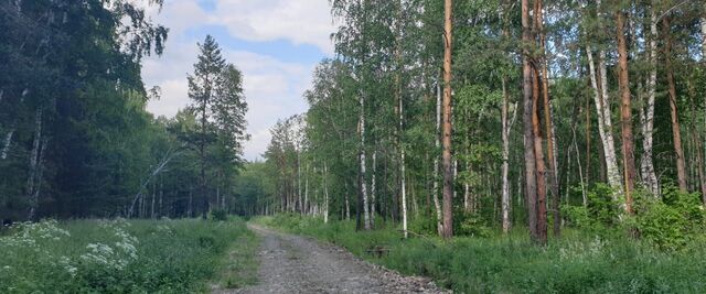 Дачный поселок Мельница СНТ, Белоярский городской округ фото