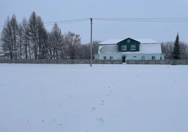 п Батунный ул Школьная 3б Заринск фото