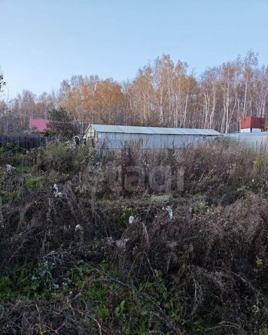 р-н Калининский ул Полевая территория СОСН Янтарь фото