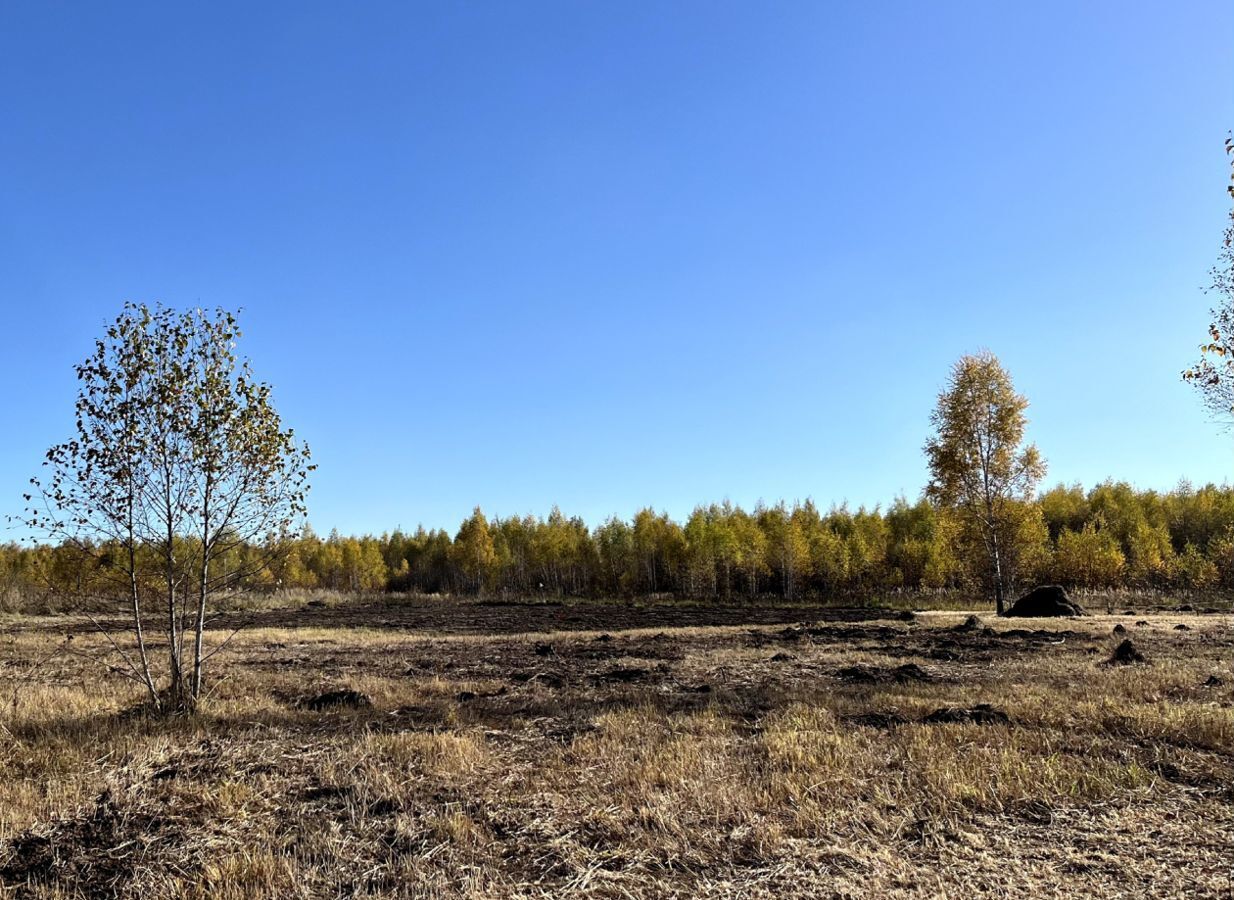 земля городской округ Серпухов д Пущино 82 км, Пущино, Коммунальный пр, Симферопольское шоссе фото 3