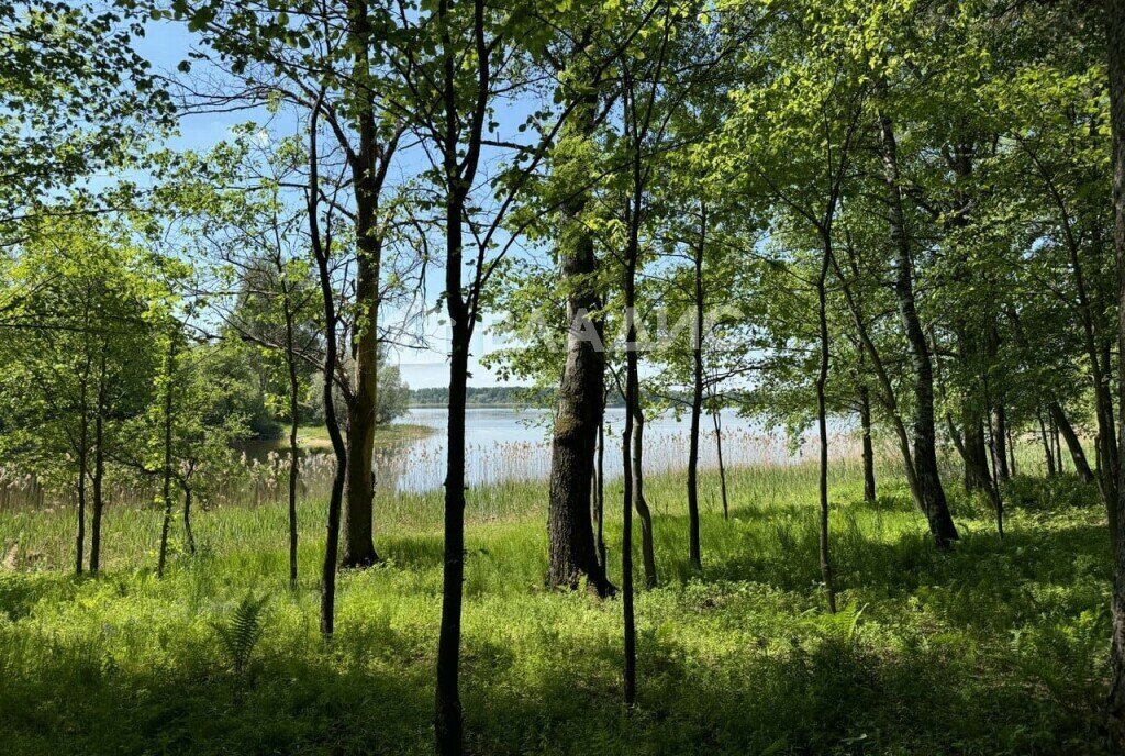 земля городской округ Солнечногорск д Лопотово коттеджный посёлок Акватория Истры, 43 фото 14