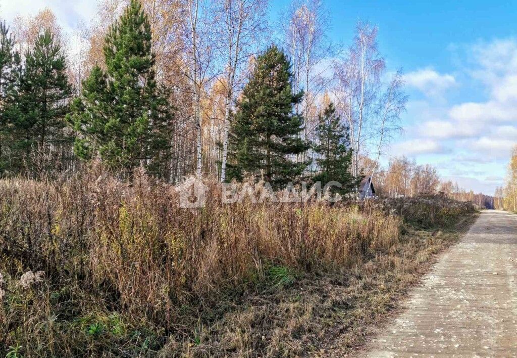 земля г Владимир р-н Октябрьский ул Большая Лукинская 34 фото 9