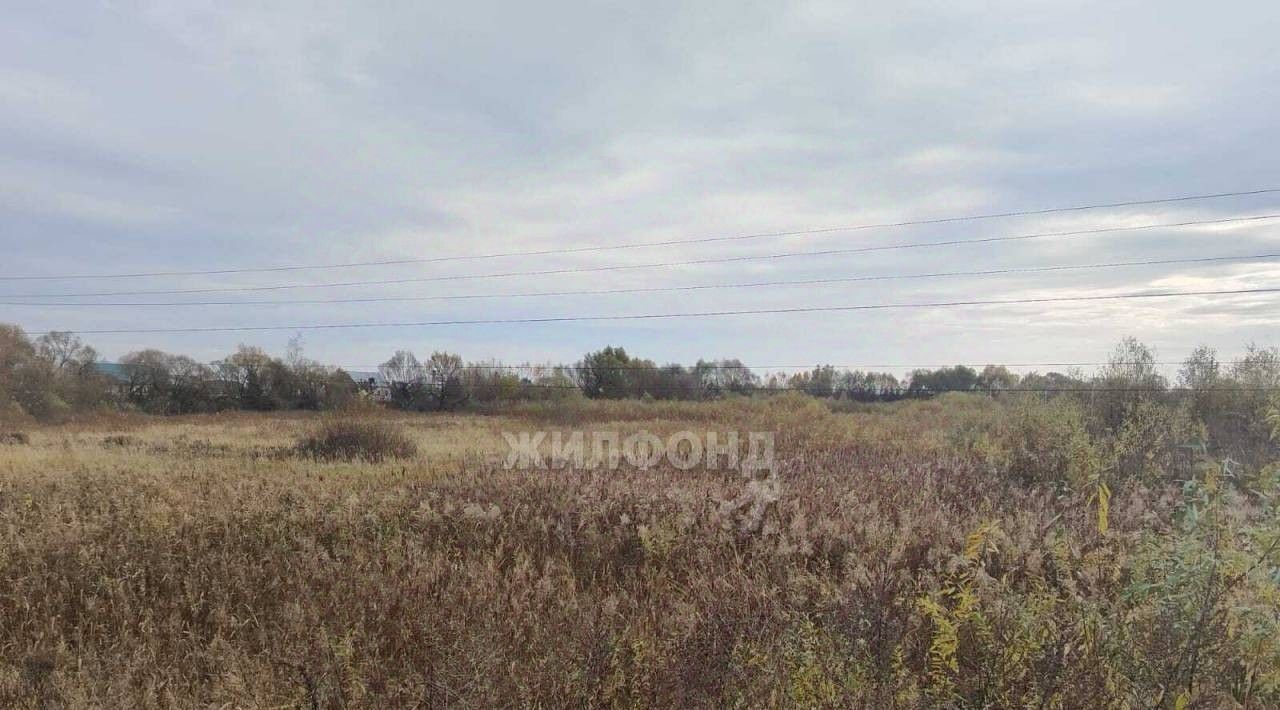 земля р-н Выгоничский с Палужье ул Дорожная Кокинское с/пос фото 7