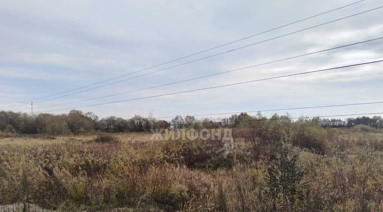 земля р-н Выгоничский с Палужье ул Дорожная Кокинское с/пос фото 8