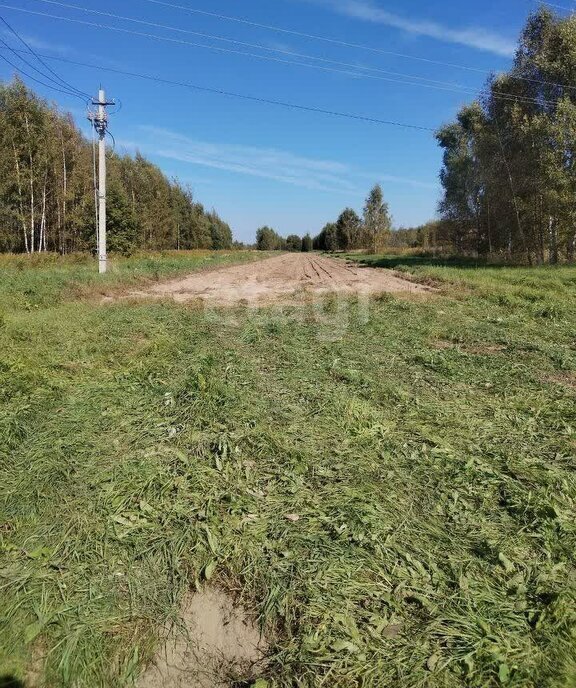 земля р-н Ярославский д Пестрецово Заволжское сельское поселение фото 4