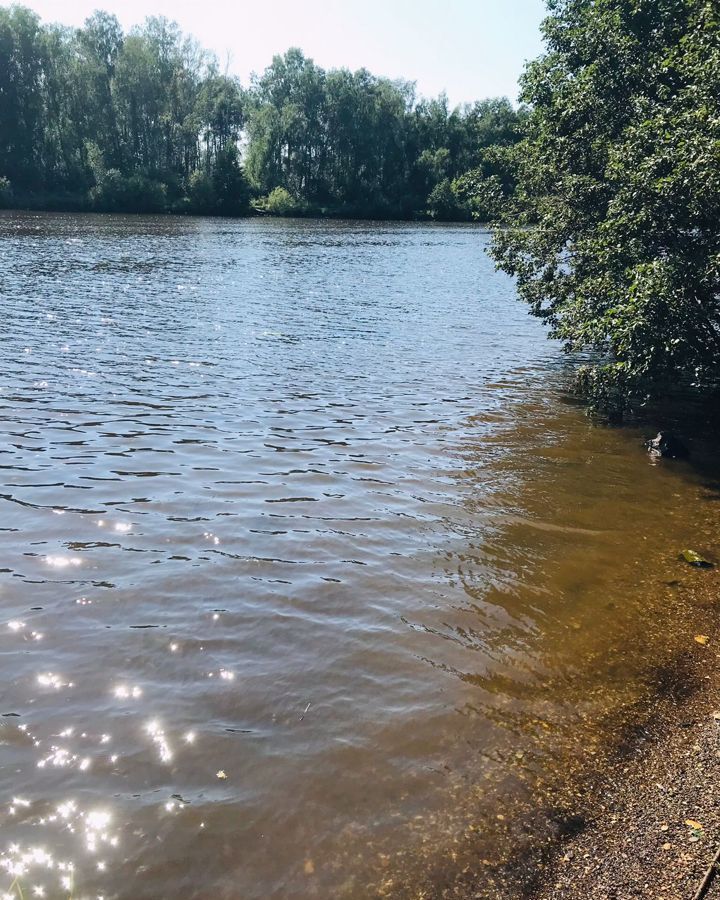 земля городской округ Мытищи д Протасово 24 км, коттеджный пос. Виталенд, Марфино, Дмитровское шоссе фото 13