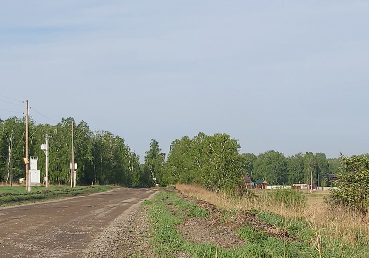 земля р-н Березовский тер ДНТ Озерки 3 Есаульский сельсовет, Красноярск фото 10