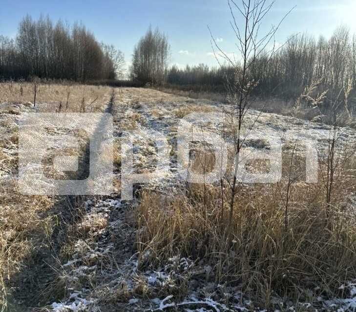 земля р-н Костромской д Середняя ул Дачная фото 4