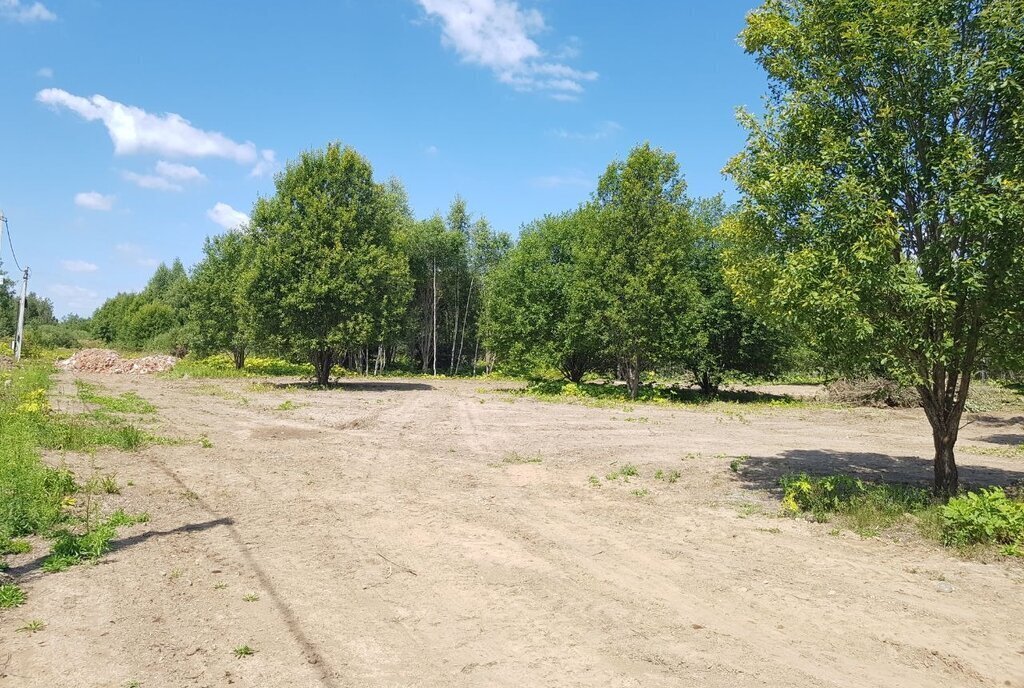 земля городской округ Рузский д Андрейково фото 13